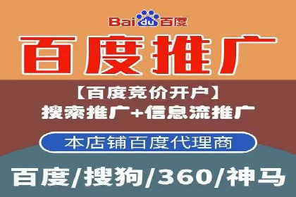 实战解析：百度竞价排名服务成功案例